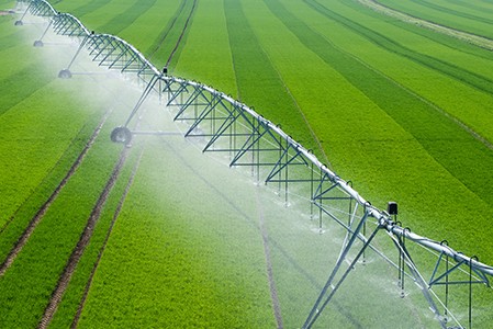一个中心旋转灌溉系统喷洒在绿色领域的作物。＂height=