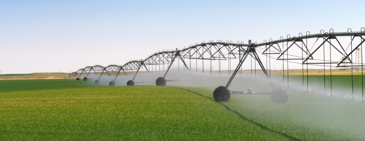 作物灌溉-使用-中心-主-自动喷水灭火系统——绿色领域的水平- 3040 x1181 -图像文件＂class=